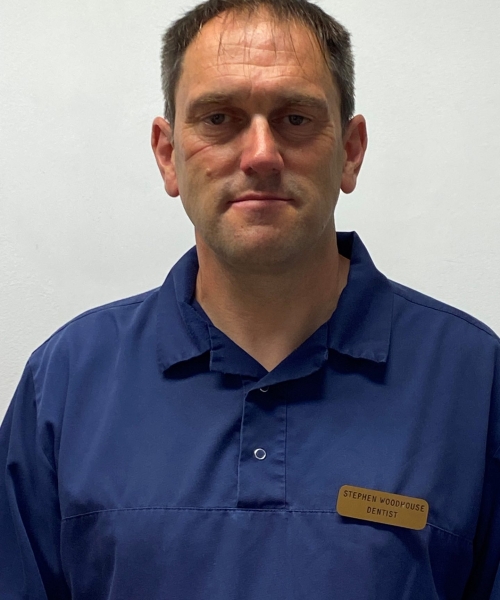 Portrait of Mr Stephen Woodhouse